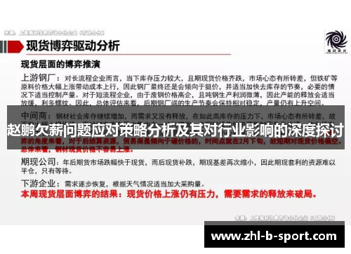 赵鹏欠薪问题应对策略分析及其对行业影响的深度探讨 赵鹏欠薪问题应对策略分析及其对行业影响的深度探讨