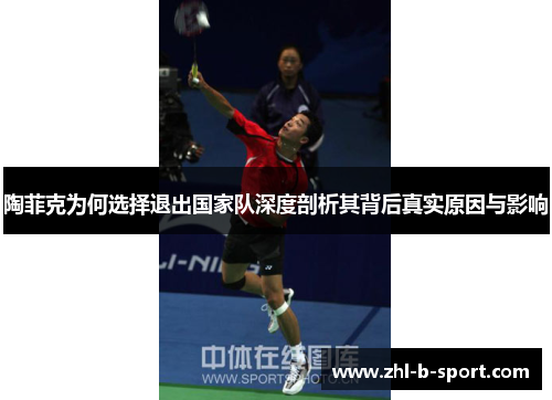 陶菲克为何选择退出国家队深度剖析其背后真实原因与影响