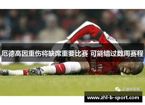 厄德高因重伤将缺席重要比赛 可能错过数周赛程