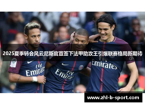 2025夏季转会风云尼斯官宣签下法甲助攻王引爆联赛格局新期待